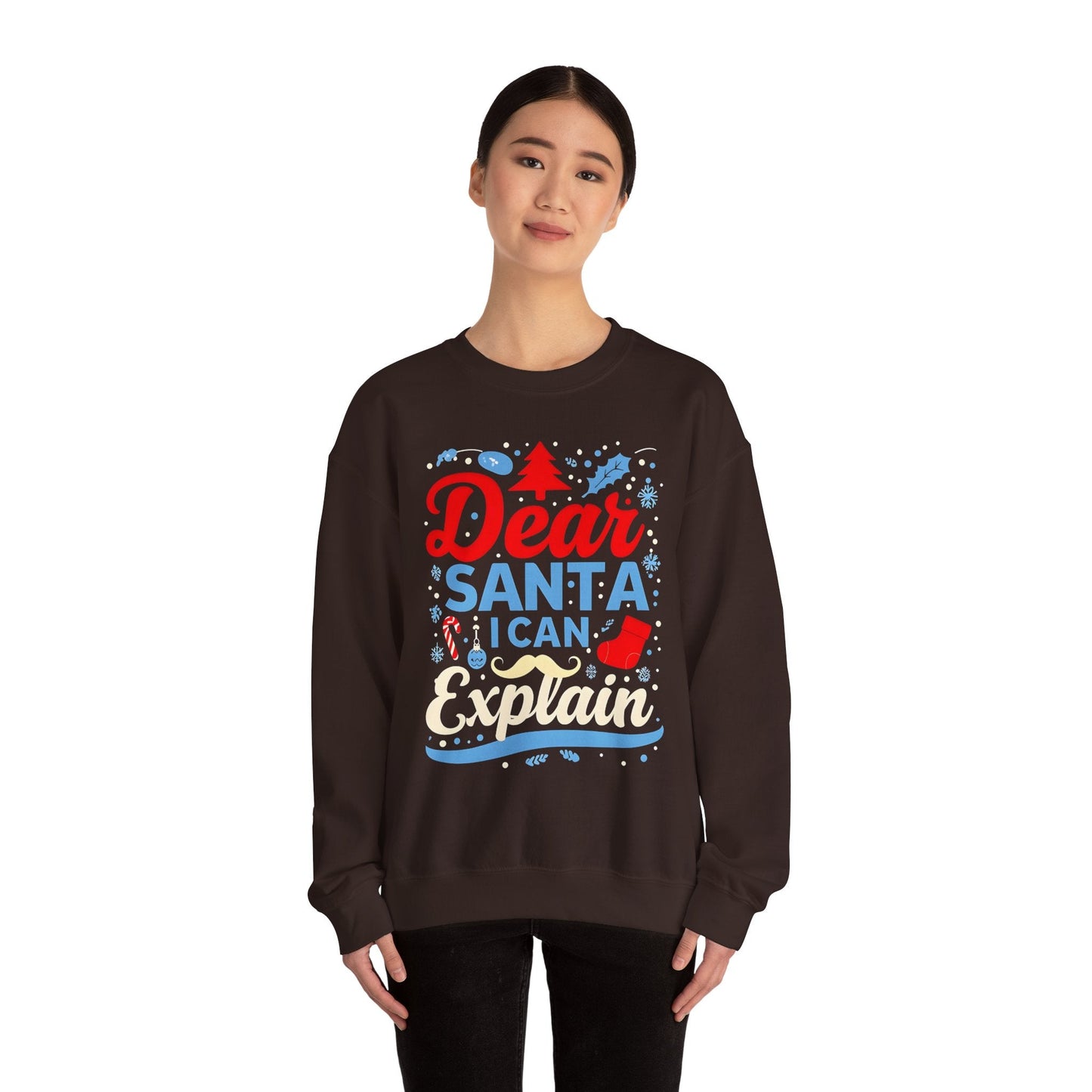 Dear Santa I Can Explain - 16173545748010484853